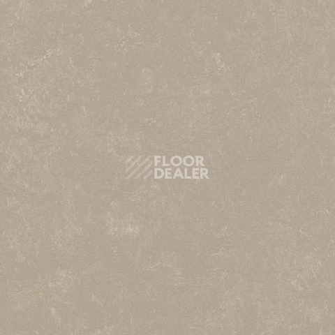 Линолеум Forbo Marmoleum Decibel on Order 370835 fossil фото 1 | FLOORDEALER
